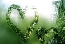 排球赛场焦点！巴西队对阵美国队，意外判罚引发热议，比赛氛围紧张