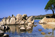 排球赛场焦点！巴西队对阵美国队，意外判罚引发热议，比赛氛围紧张